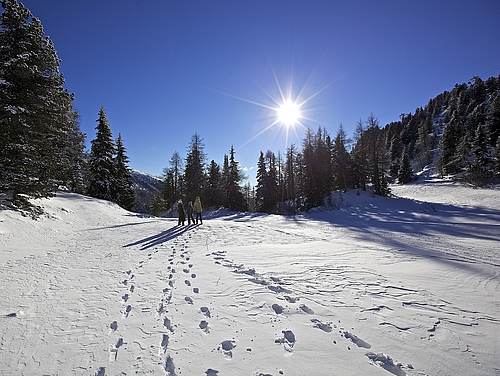 Winterwanderungen in Kärnten